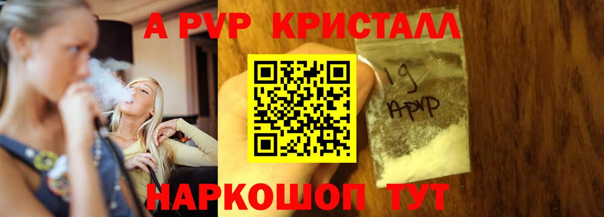 A-PVP СК Вольск