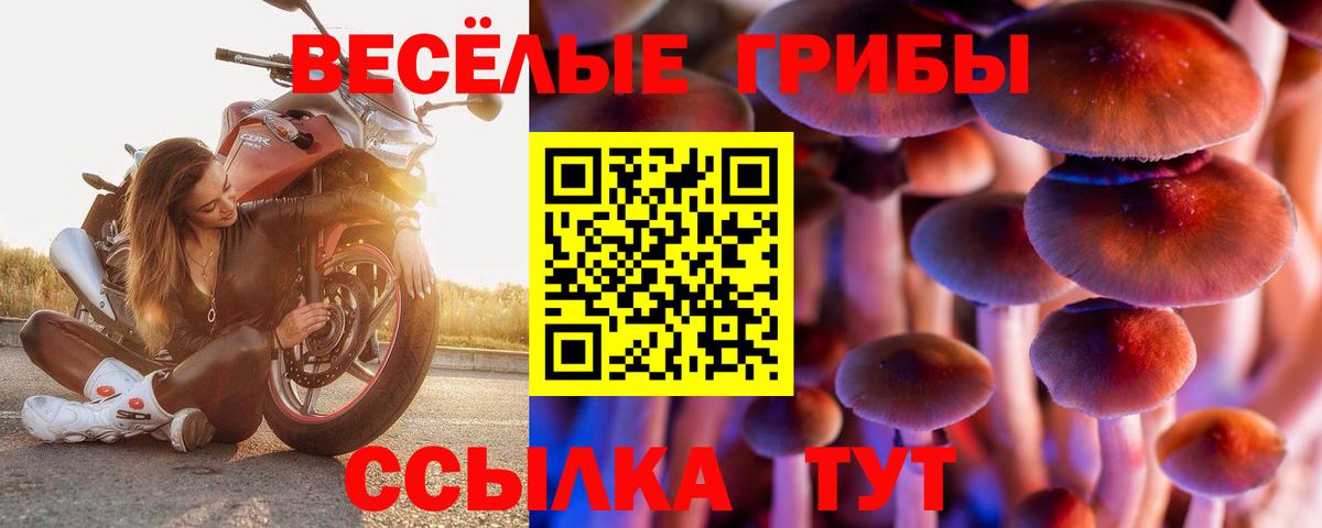 Галлюциногенные грибы прущие грибы  Вход с VPN  Вольск 