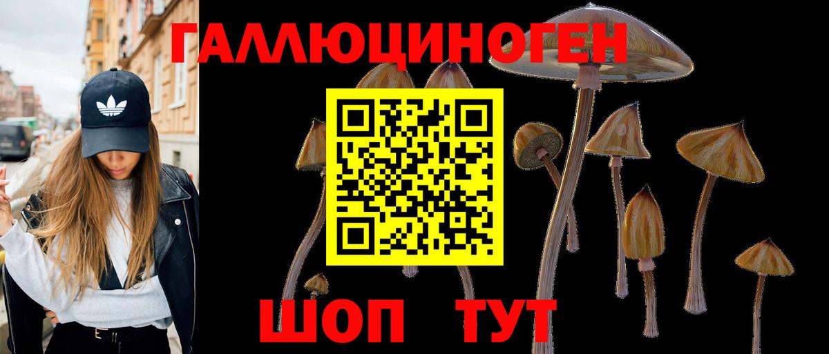 Галлюциногенные грибы Psilocybine cubensis Вольск